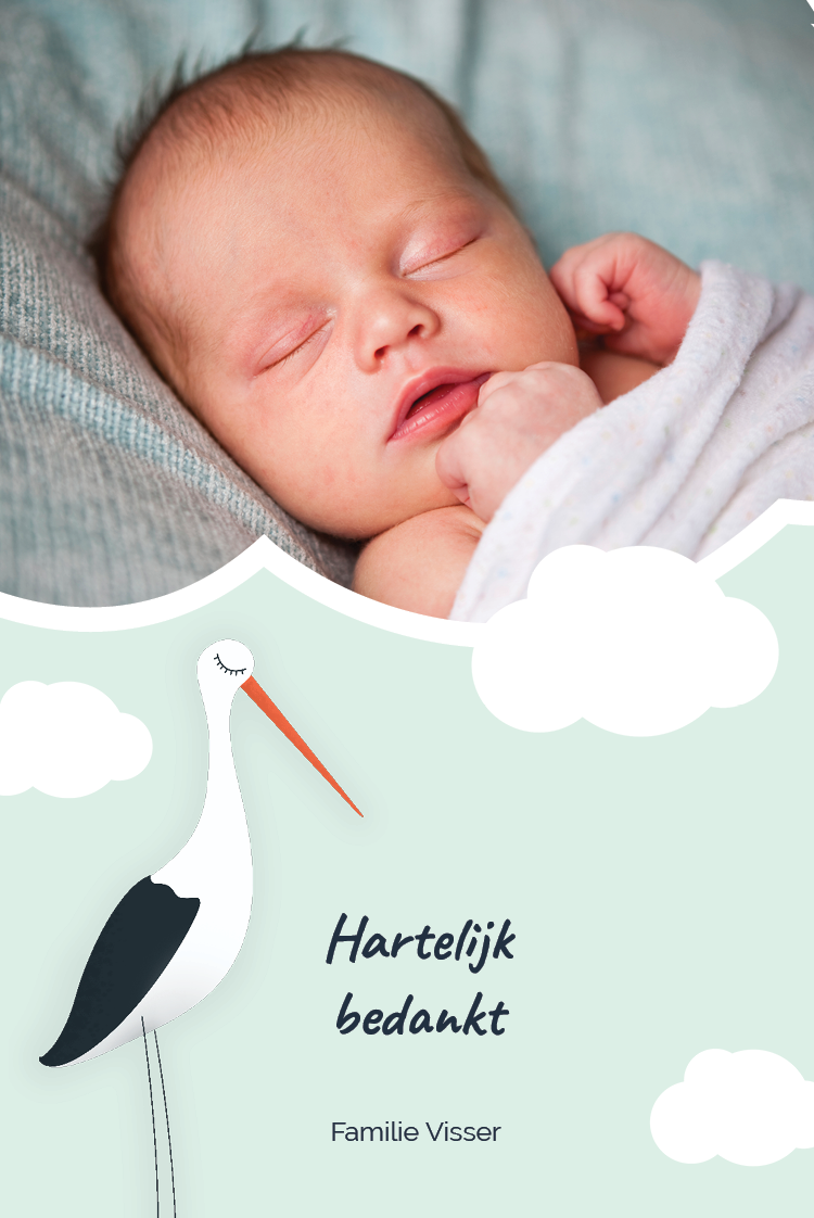 Bedankkaarten — Ooievaar met wolken