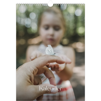 A3 Jaarkalender — Twaalf grote maanden [omslag]