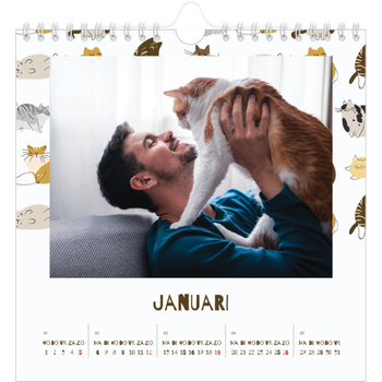 Fotokalender Vierkant — Speelse kitten