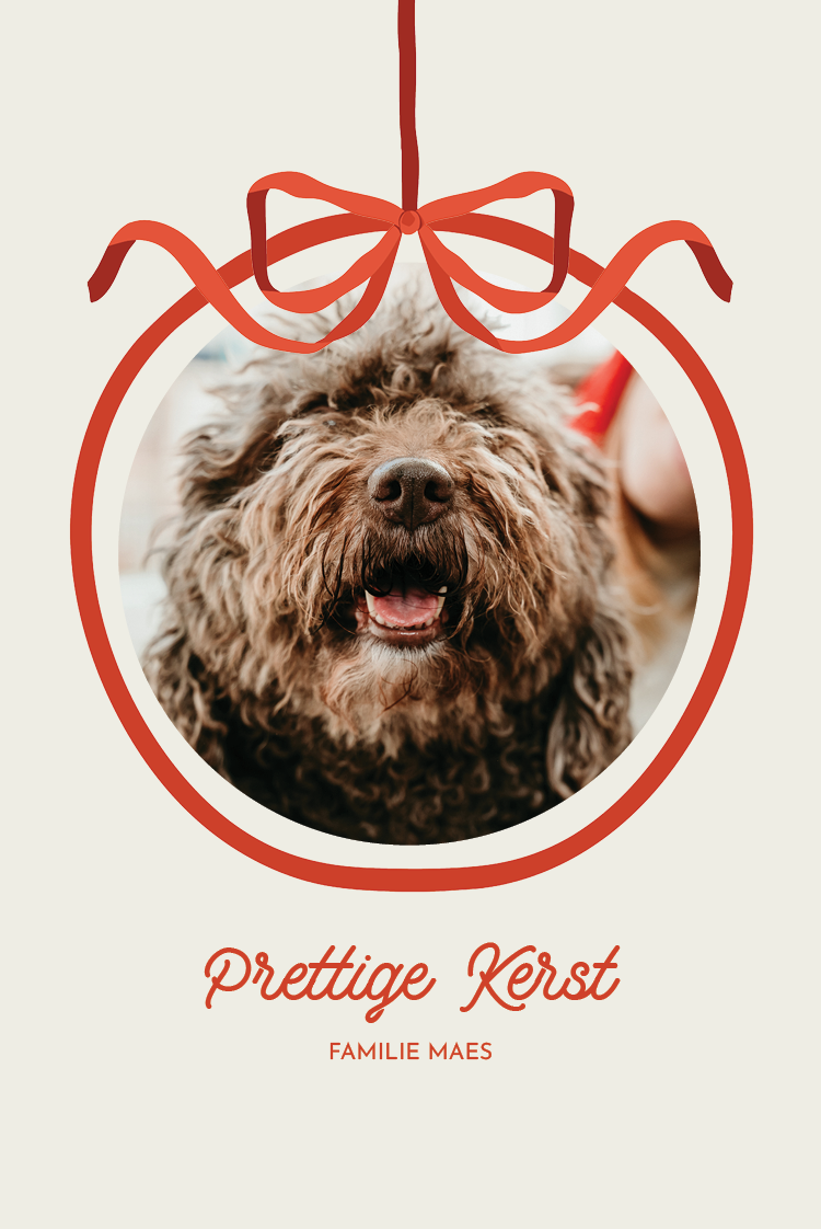 Fotokaarten — Kerstbal en strik