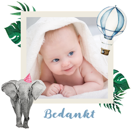 Bedankkaarten — Aquarel dieren