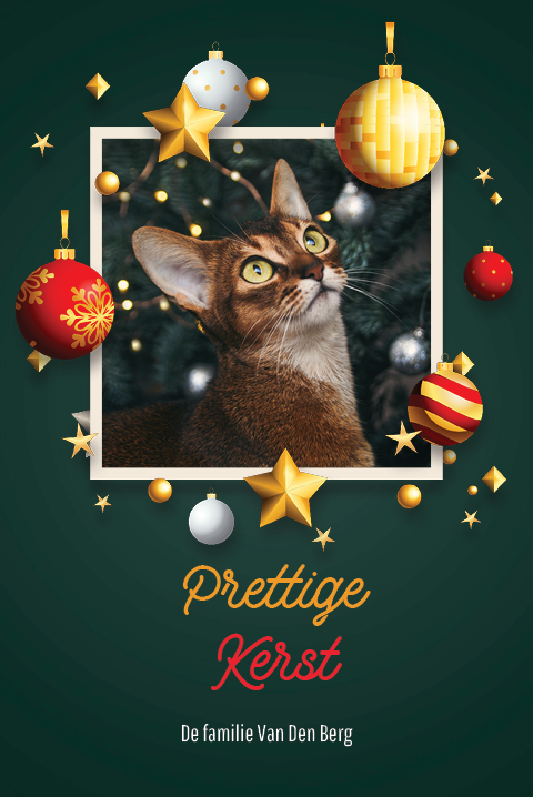 Fotokaarten — Kerstdroom