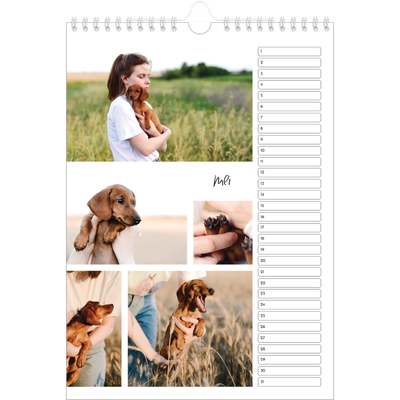 Verjaardagskalenders A4 — Foto arrangement [Mei]