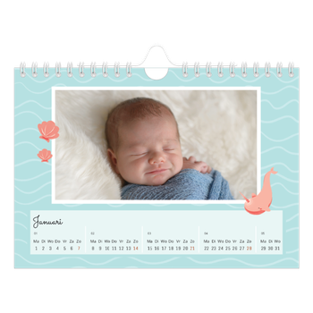 Fotokalender A5 — Schattige dieren
