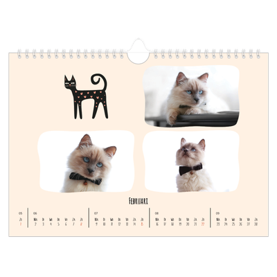 Fotokalender A4 — Kattenpoten en krabbels [Februari]