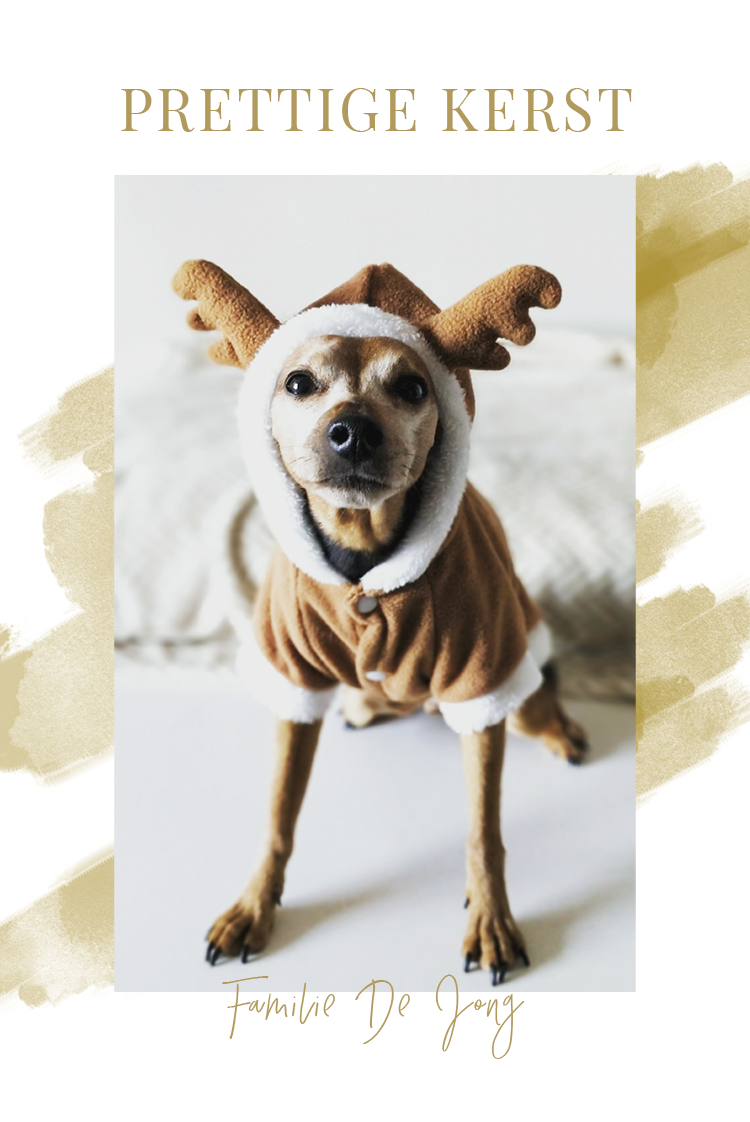 Fotokaarten — Gouden waterverf