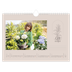 Fotokalender A4 — Simpel botanisch [Maart]