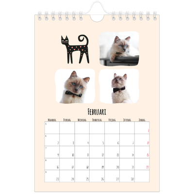 Fotokalender A5 — Kattenpoten en krabbels [Februari]