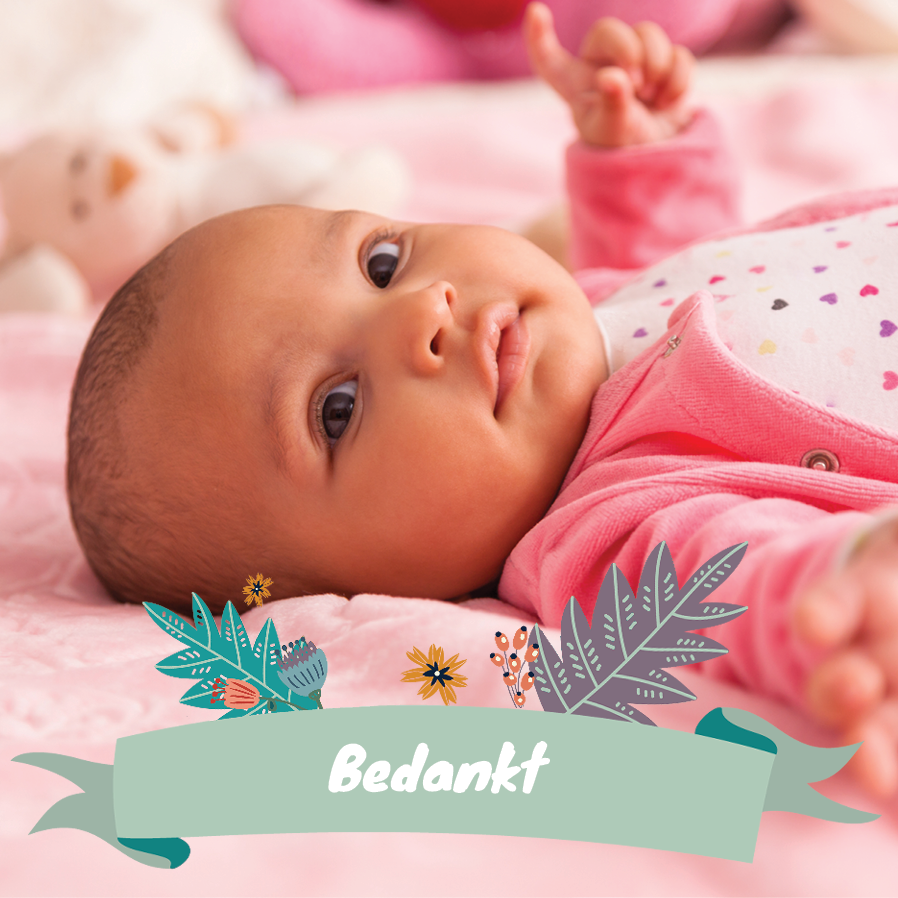 Bedankkaarten — Bos