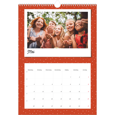 A3 Jaarkalender — Snapshots in felle kleuren [omslag]